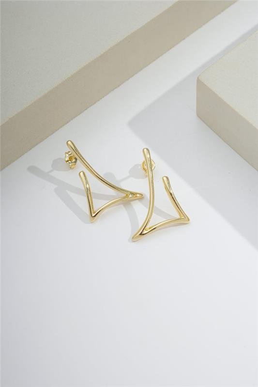 BRINCO 3CM FASHION EARHOOK