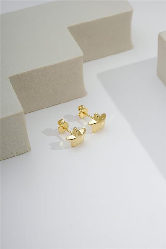 BRINCO ESTRELA FIXO 1,0CM(G)