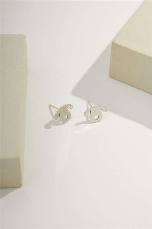 BRINCO DE CACHORRO E NARIZ DE CORAÇÃO A LASER EM PRATA 925 - 023-00019