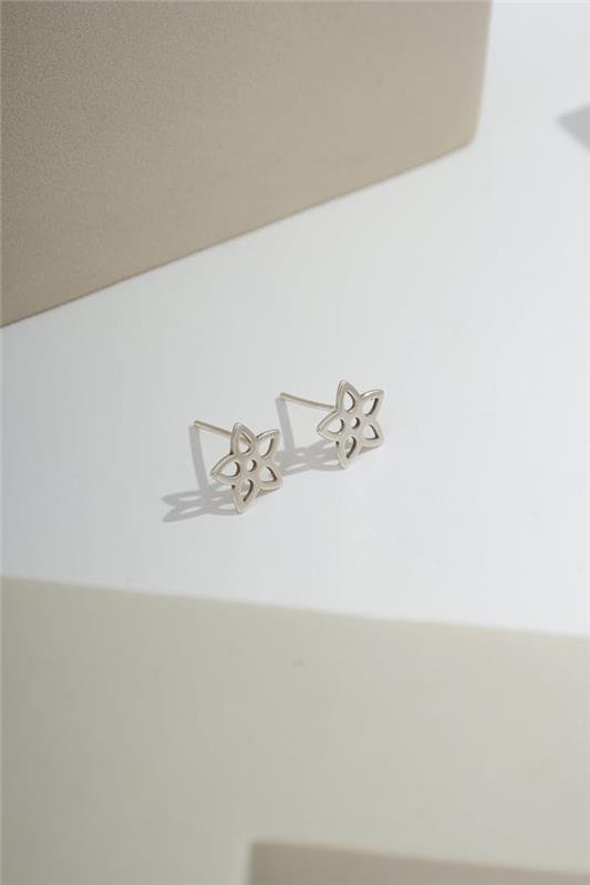 BRINCO FRORZINHA VAZADA A LASER EM PRATA 925 - 023-00040