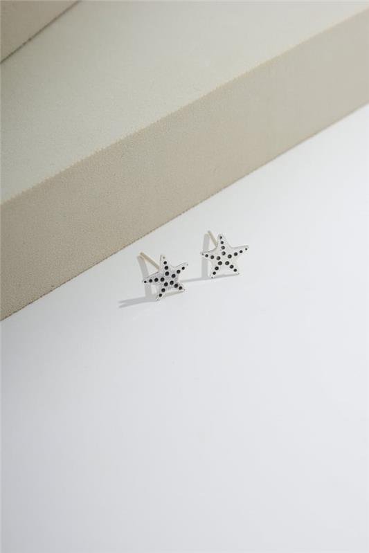 BRINCO DE ESTRELA DO MAR A LASER EM PRATA 925 - 023-00055