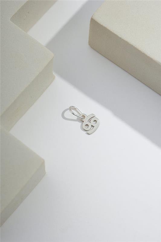 PINGENTE SIGNO A LASER EM PRATA 925 - 023-00100