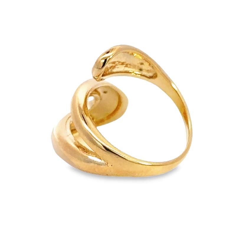 ANEL COM HASTE DUPLA